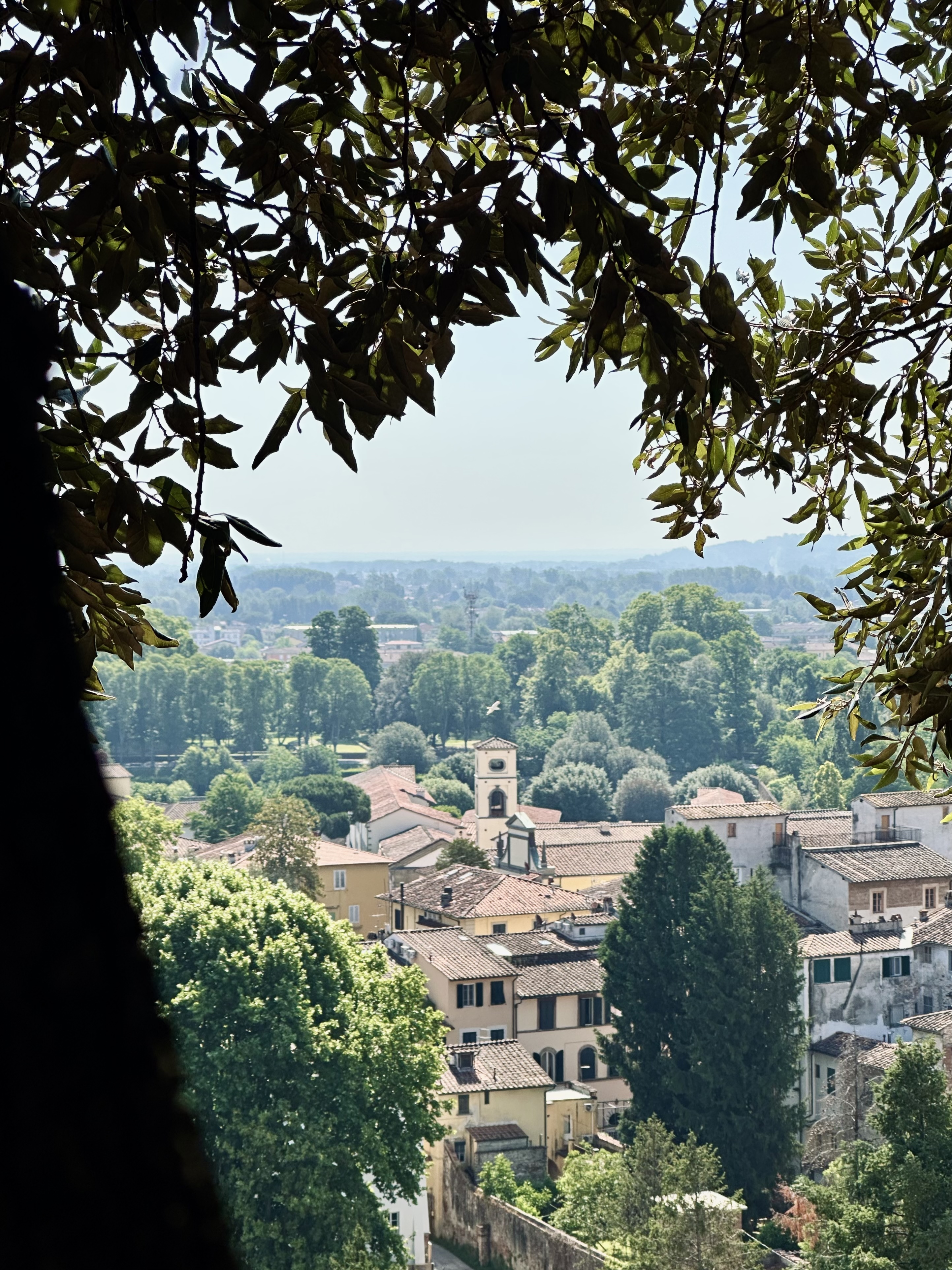 Lucca